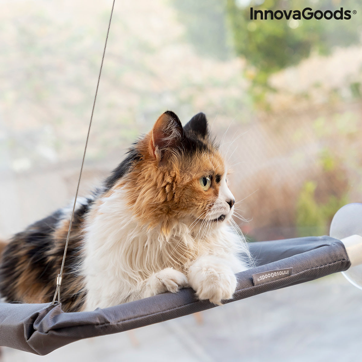 Hanging Cat Hammock Catlax InnovaGoods - CozyCushions Co.