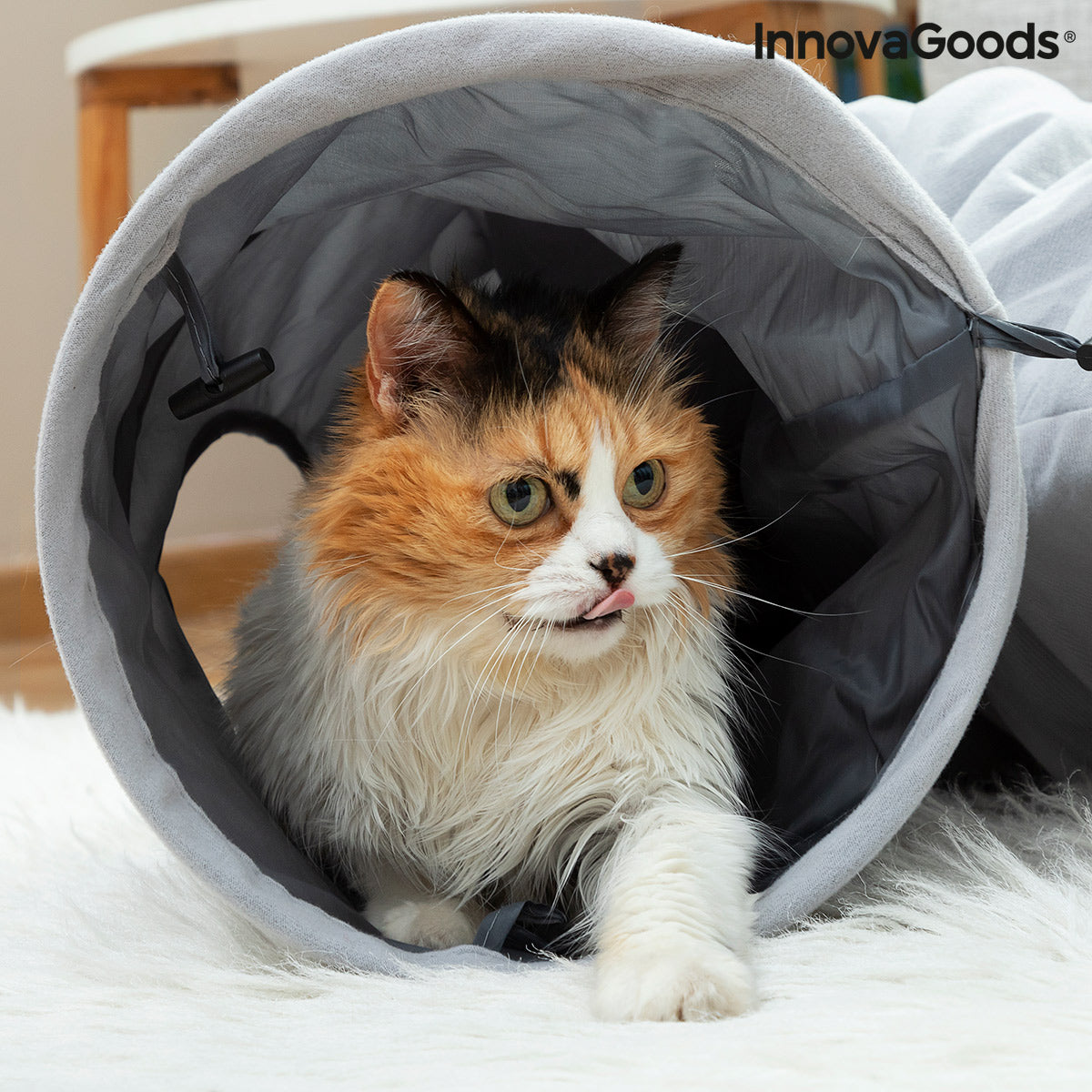 Collapsible Pet Tunnel Funnyl InnovaGoods - CozyCushions Co.