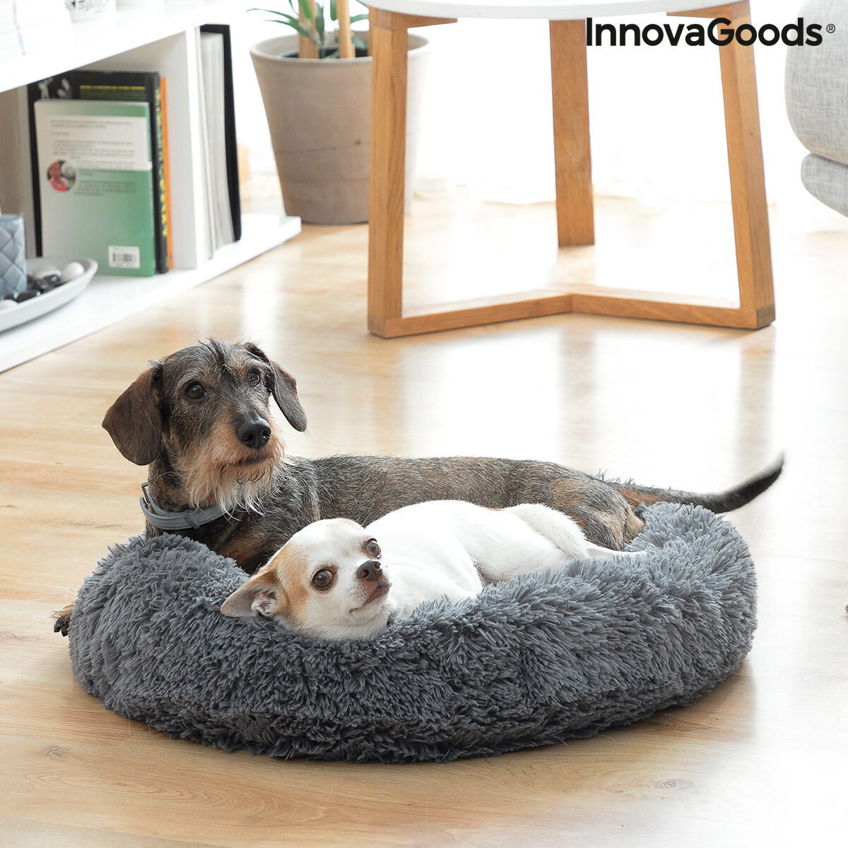 Anti-stress Pet Bed Bepess InnovaGoods Ø 60 cm - CozyCushions Co.