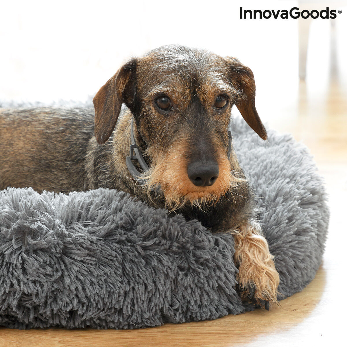 Anti-stress Pet Bed Bepess InnovaGoods Ø 60 cm - CozyCushions Co.