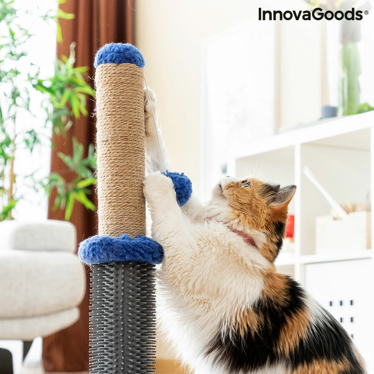 Cat Scratching and Massage Post with Ball Miausage InnovaGoods - CozyCushions Co.