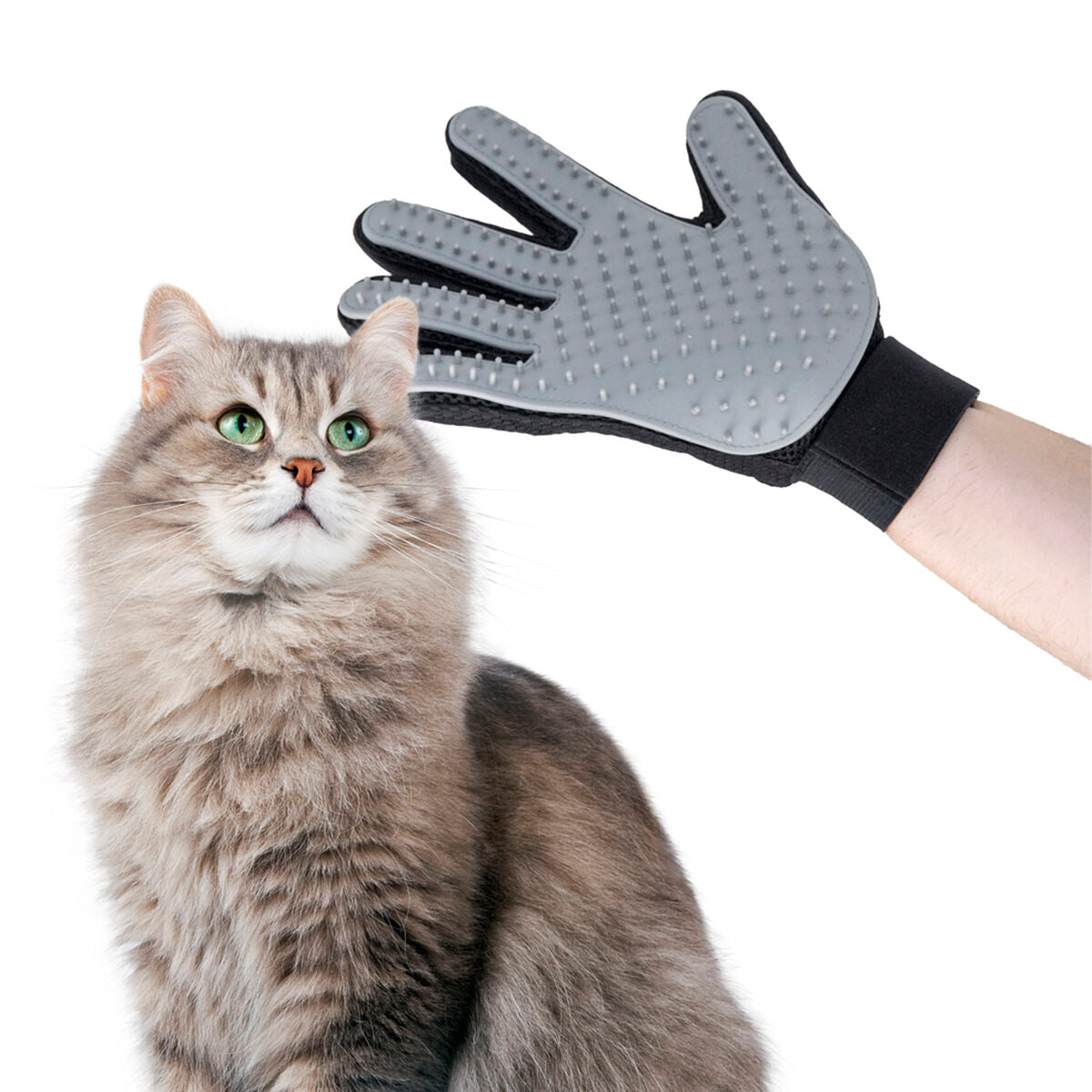 Pet Brush & Massage Glove Relpet InnovaGoods - CozyCushions Co.