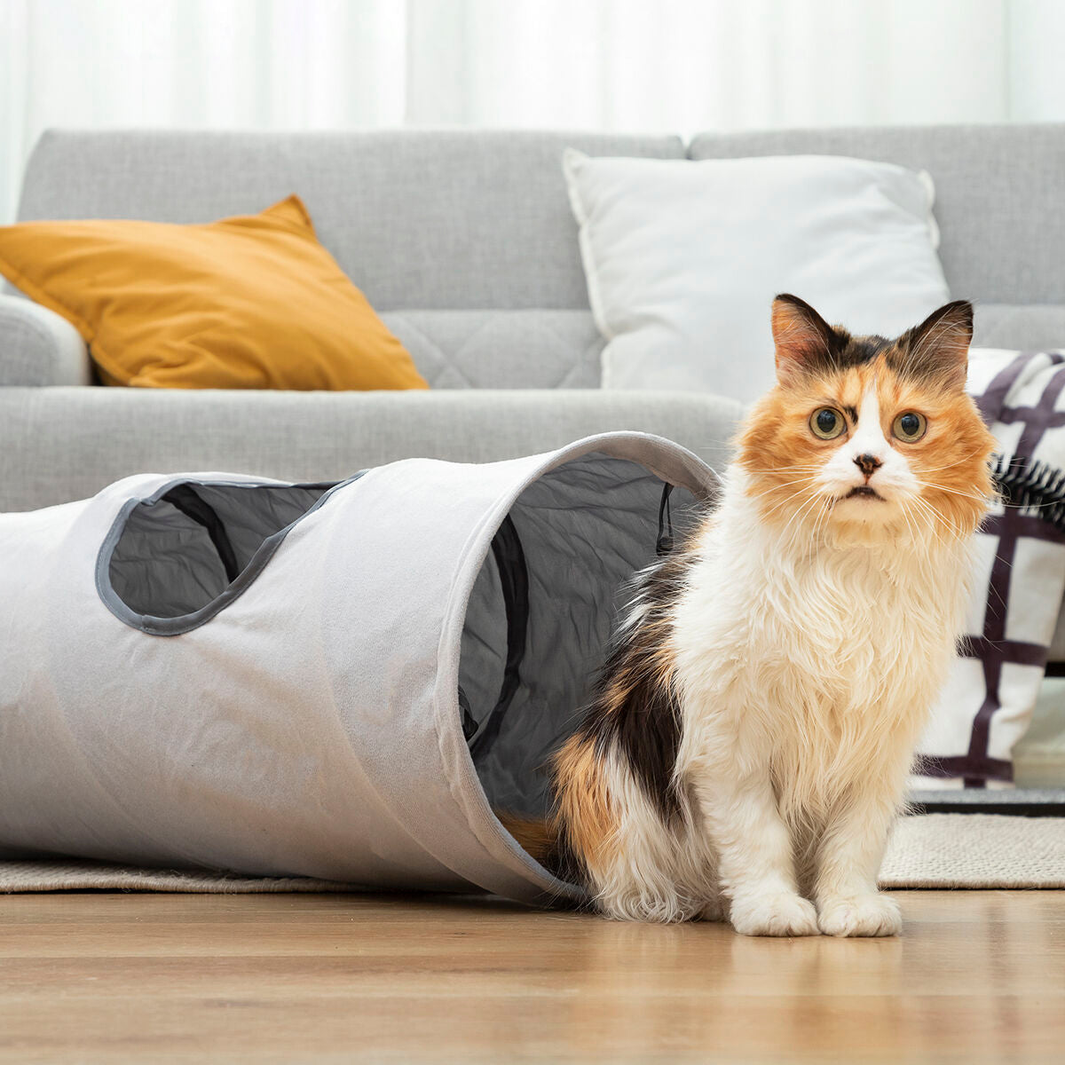 Collapsible Pet Tunnel Funnyl InnovaGoods - CozyCushions Co.