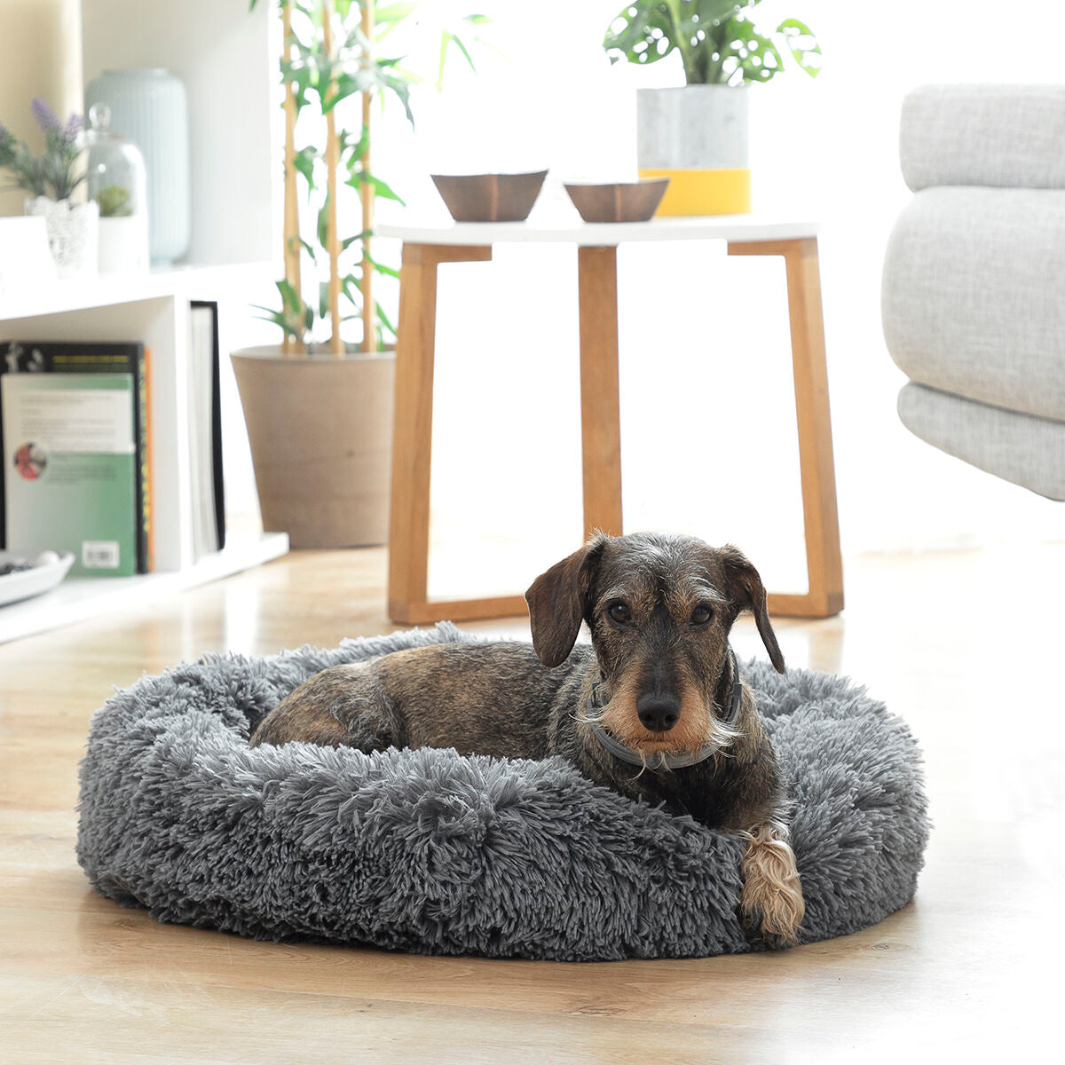 Anti-stress Pet Bed Bepess InnovaGoods Ø 60 cm - CozyCushions Co.