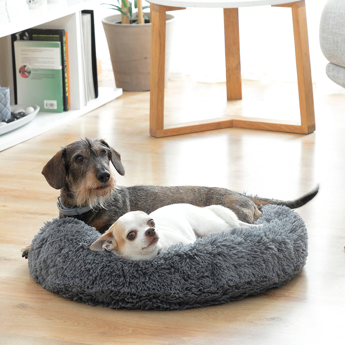 Anti-stress Pet Bed Bepess InnovaGoods Ø 60 cm - CozyCushions Co.