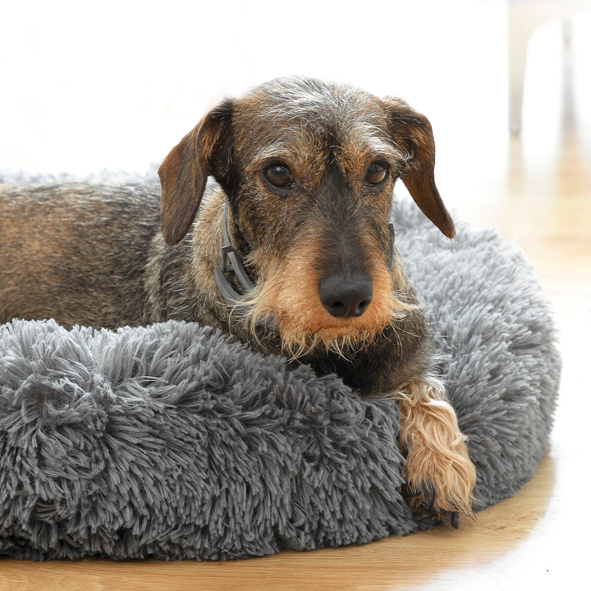 Anti-stress Pet Bed Bepess InnovaGoods Ø 60 cm - CozyCushions Co.