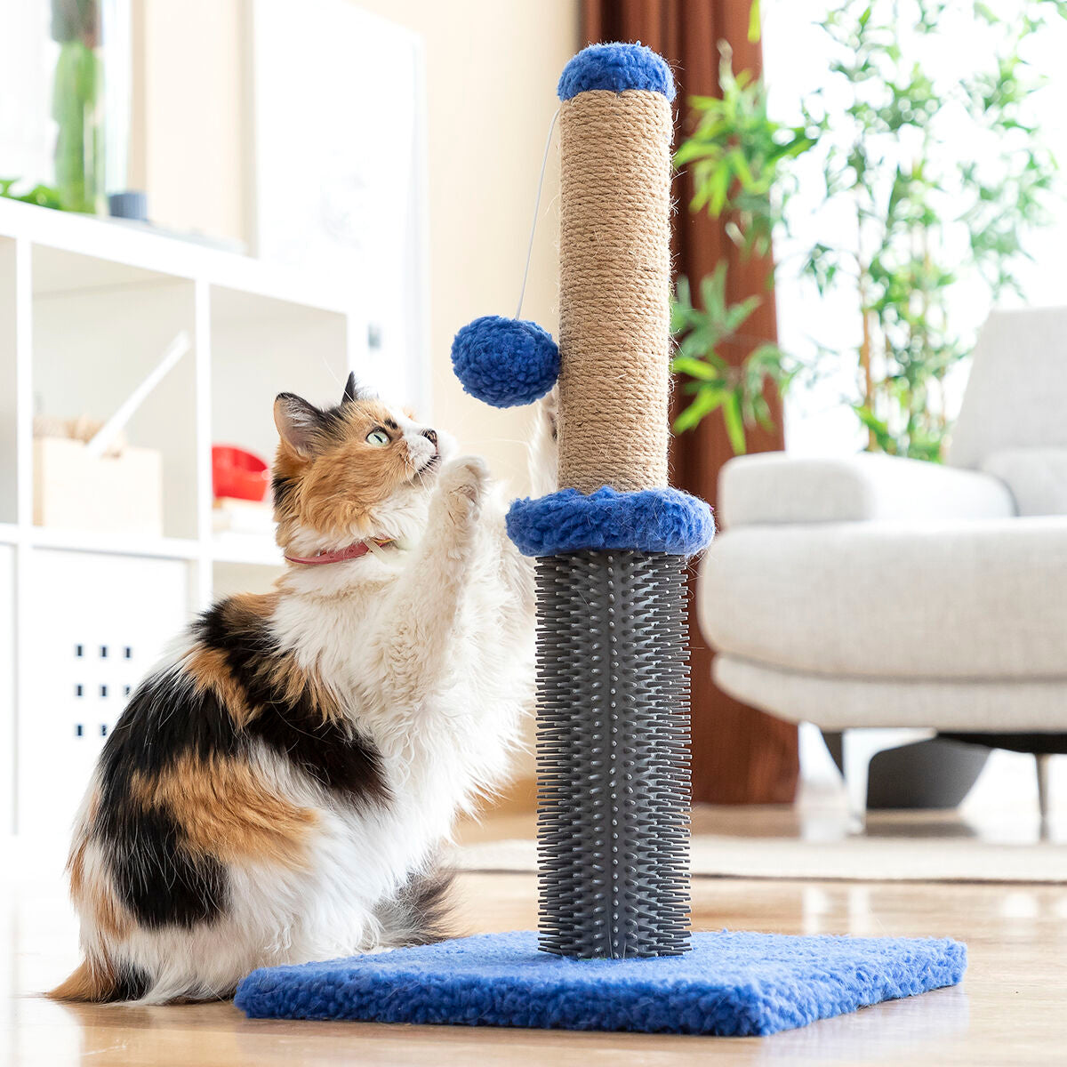 Cat Scratching and Massage Post with Ball Miausage InnovaGoods - CozyCushions Co.