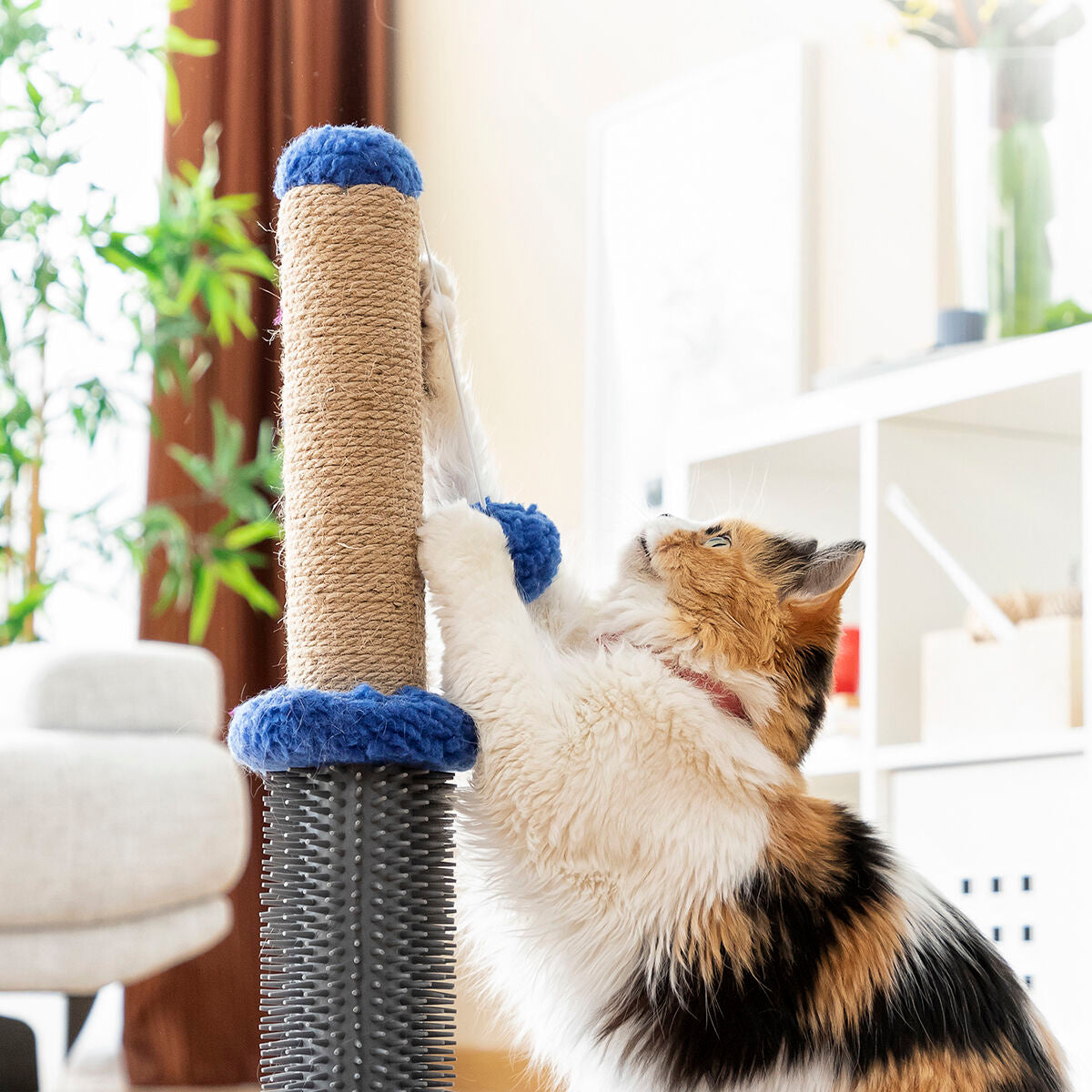 Cat Scratching and Massage Post with Ball Miausage InnovaGoods - CozyCushions Co.