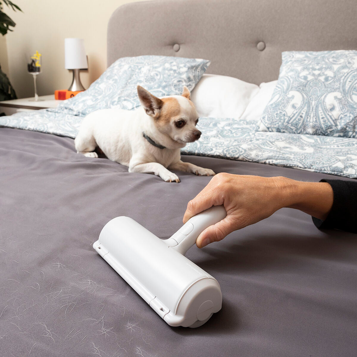 Pet Hair Remover Roller Rellair InnovaGoods - CozyCushions Co.